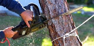 Mulching Services in Lower Lake, CA